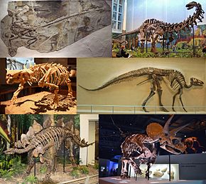 Dinosauria_montage wikipedia